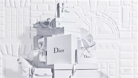 christian dior work with us|christian dior official website usa.